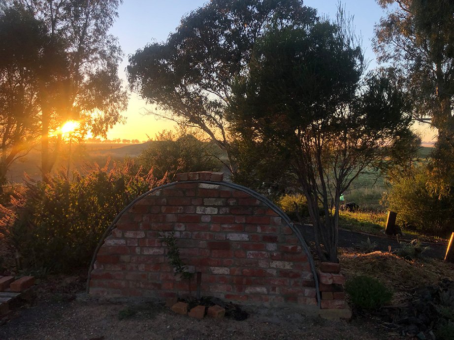 Meera apple tree at sunrise.jpg