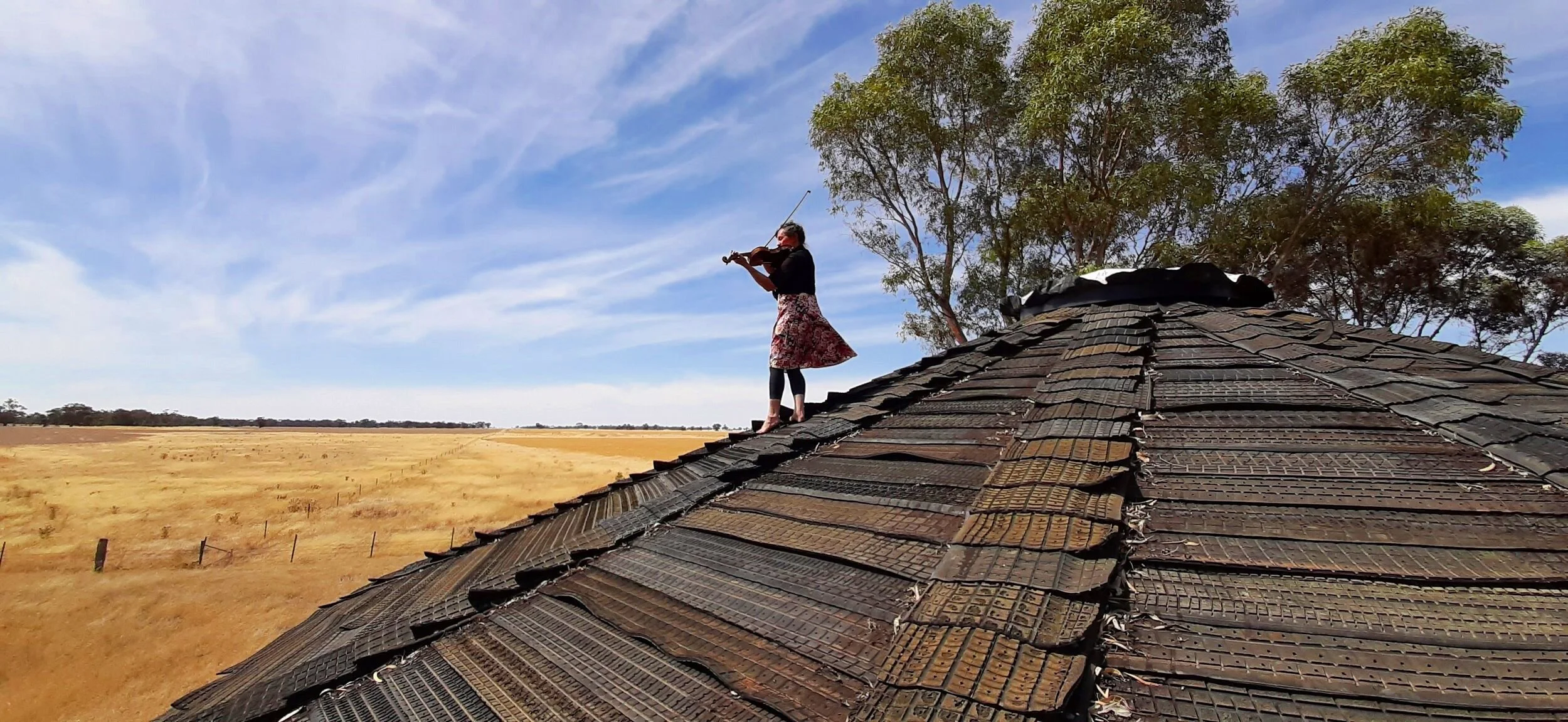 fiddler 3 2500px.jpg