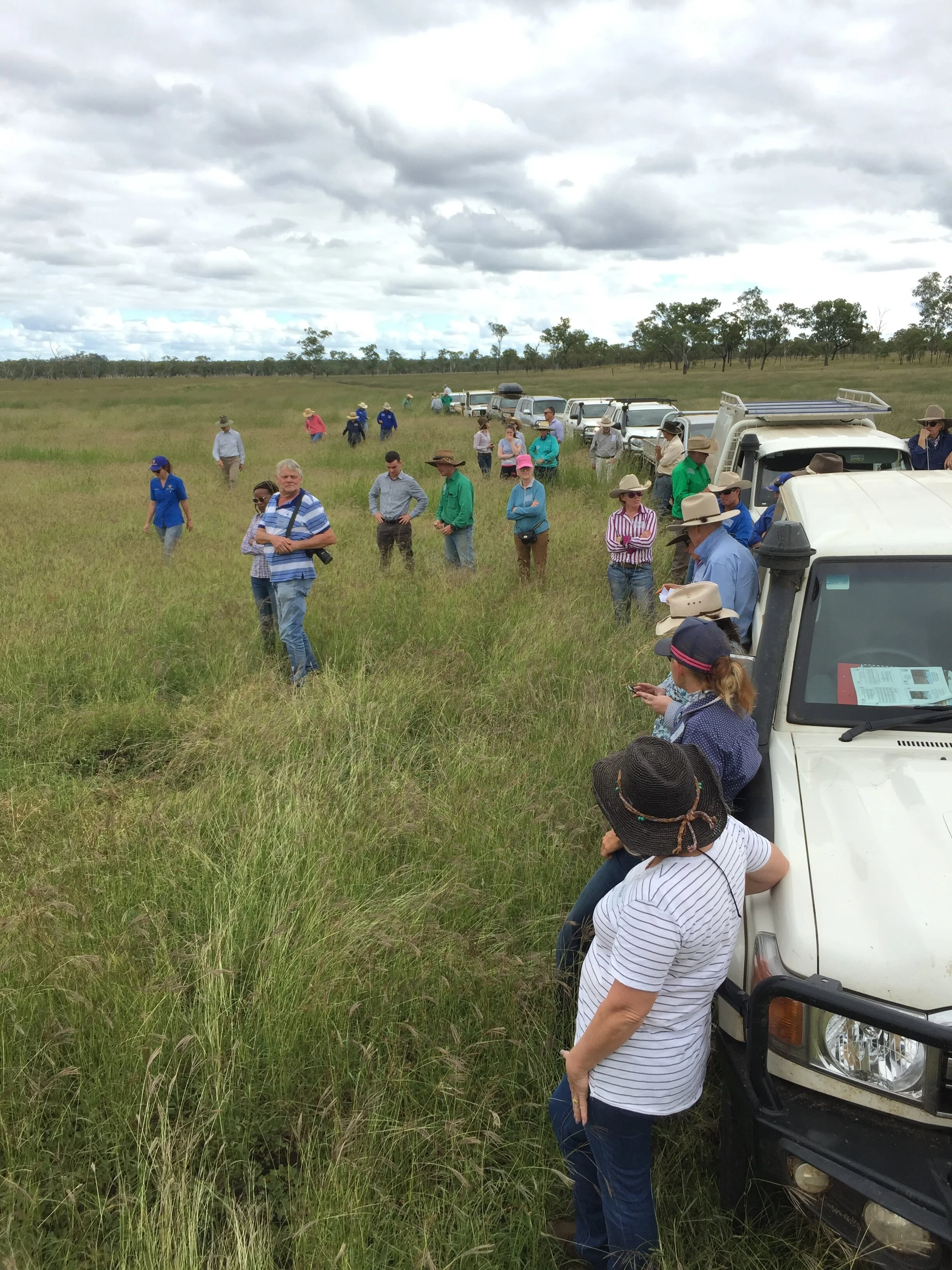 City to Country Day 2020