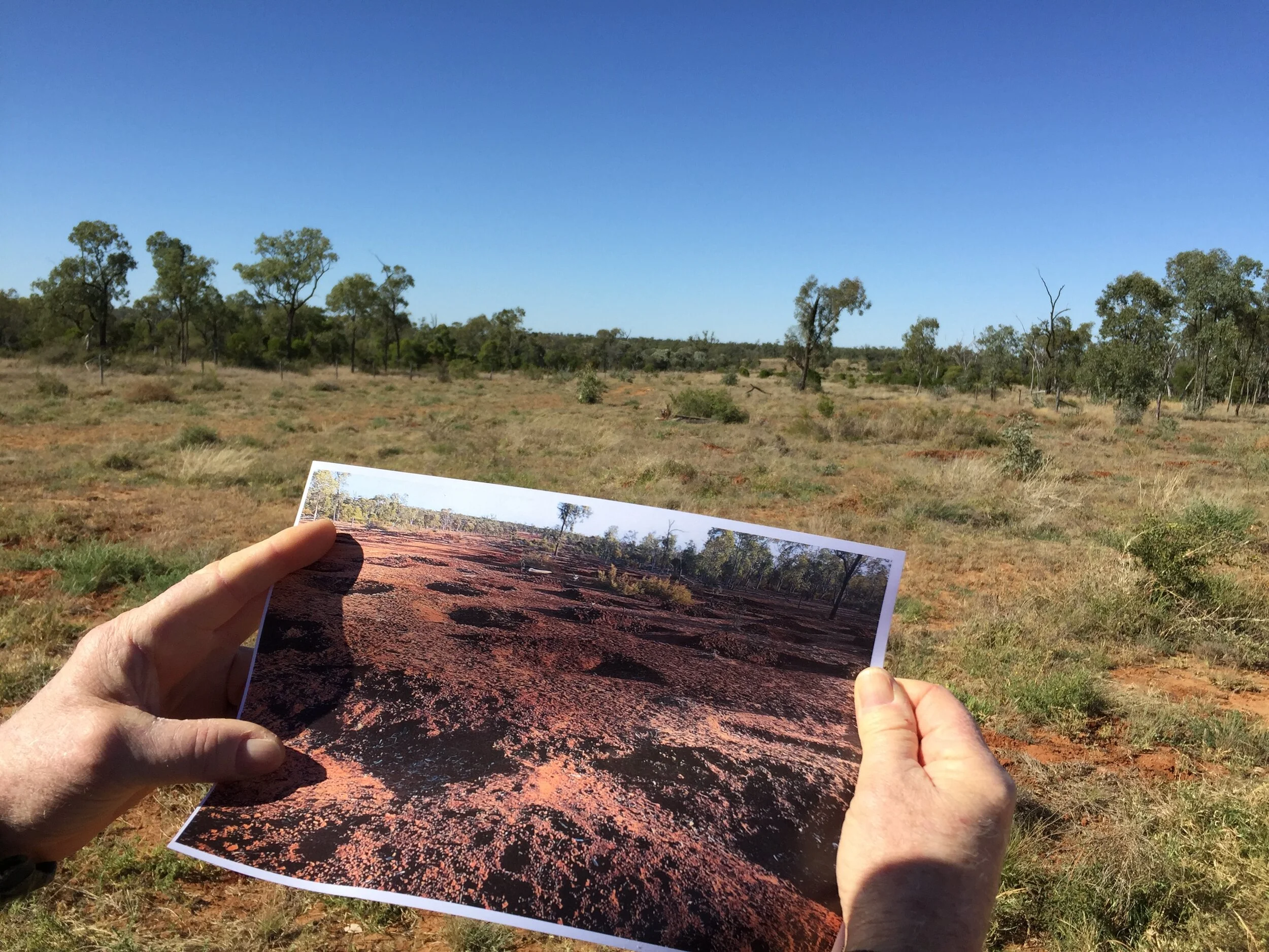 National Landcare Week