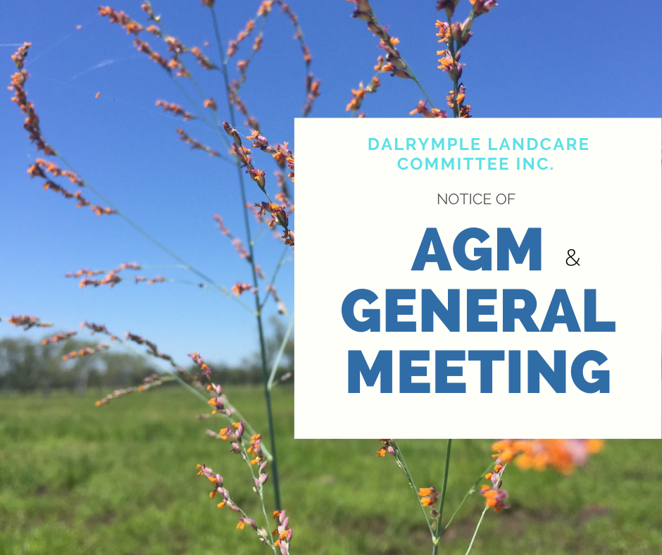 AGM &amp; XMAS BBQ