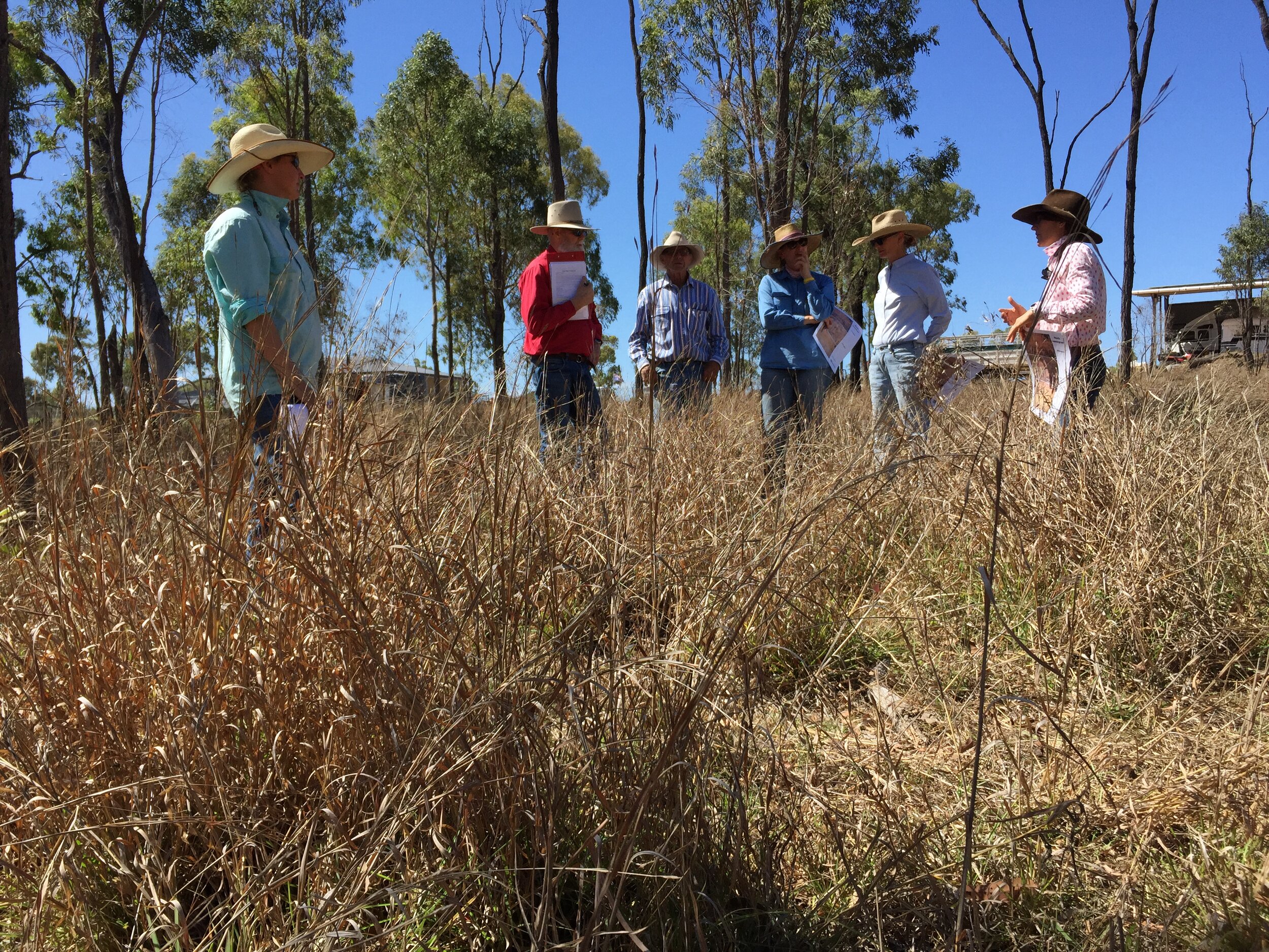 Pasture: How to know if you have enough grass?