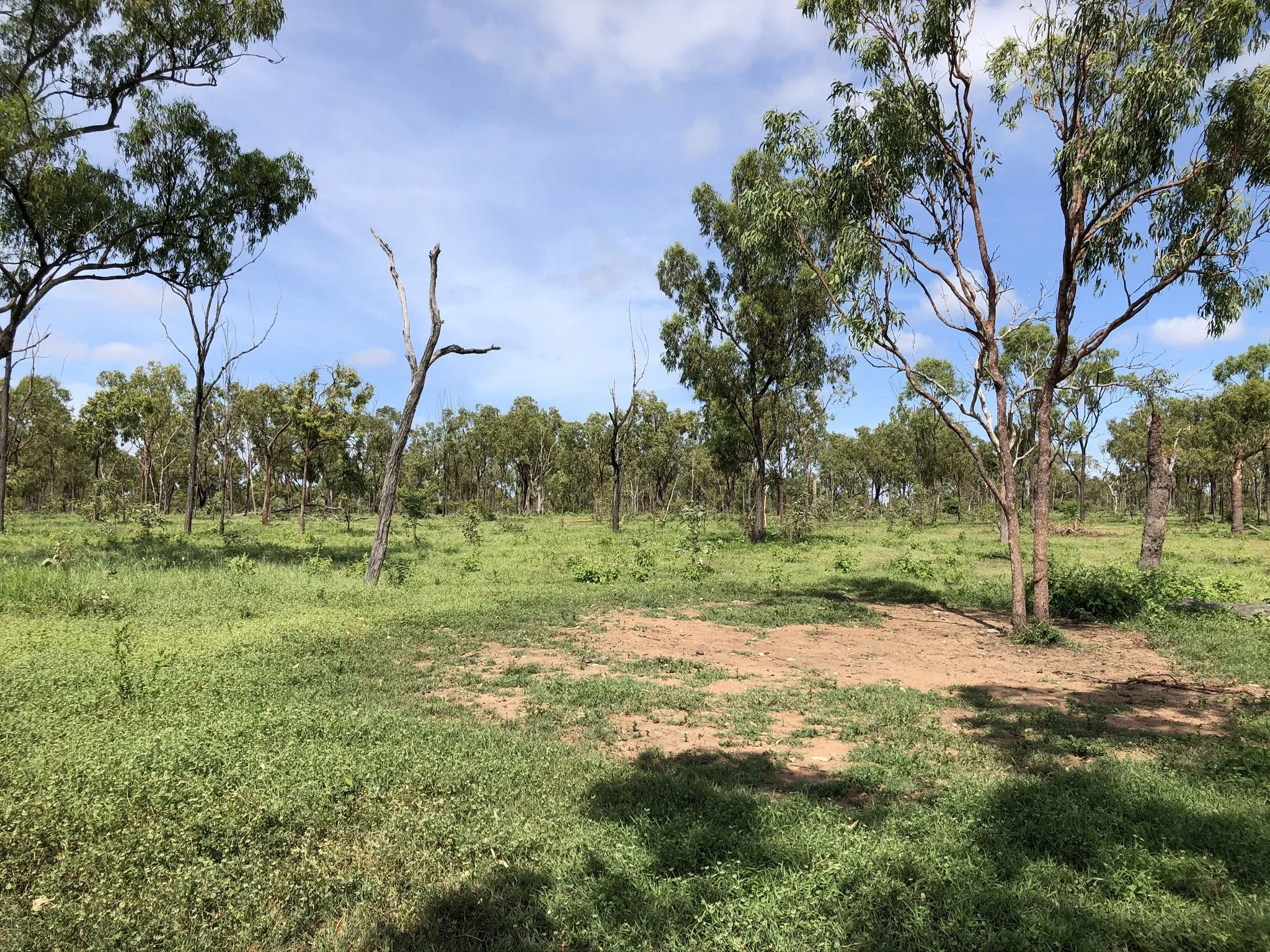 Using GRASS to dilute grazing pressure, not your top soil