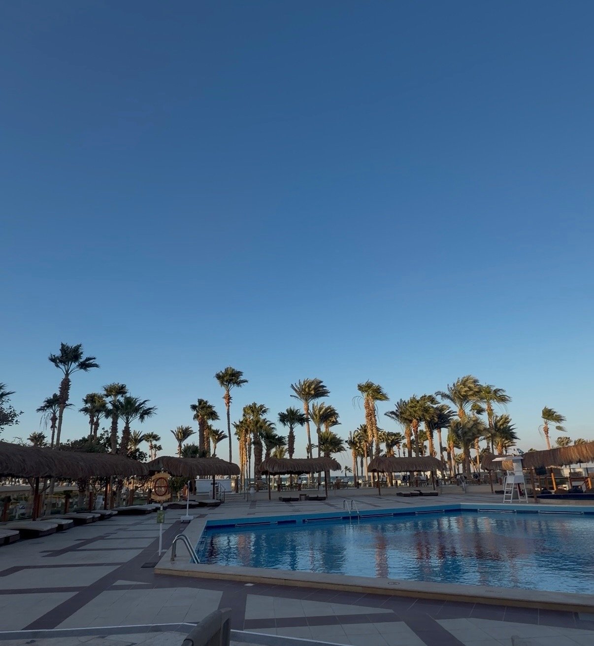 Palm trees, thatched umbrellas, lounge chairs, and a swimming pool at a resort with clear blue sky.