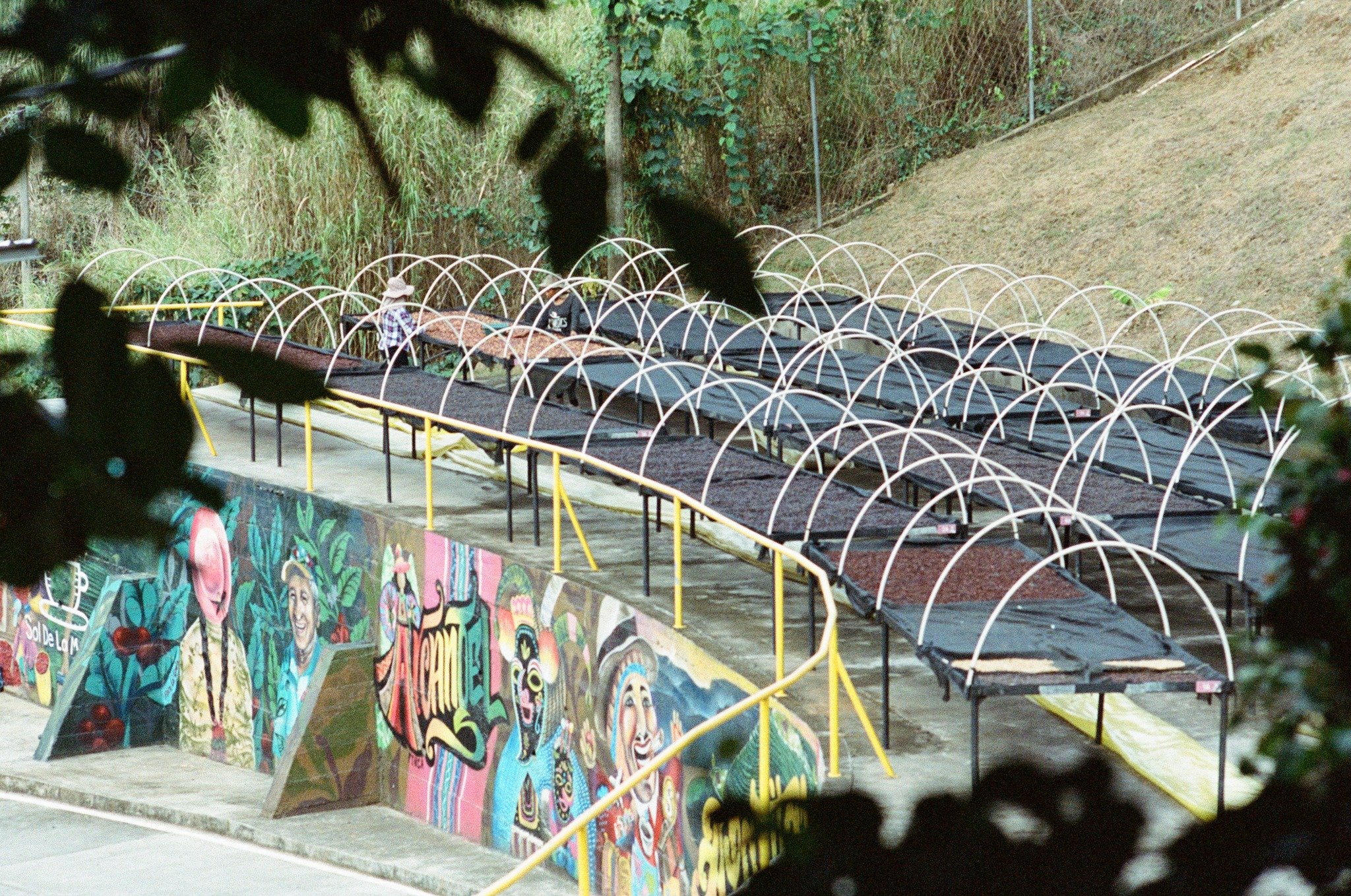 玻利維亞－25/26新產季杯測會（採預約報名制）