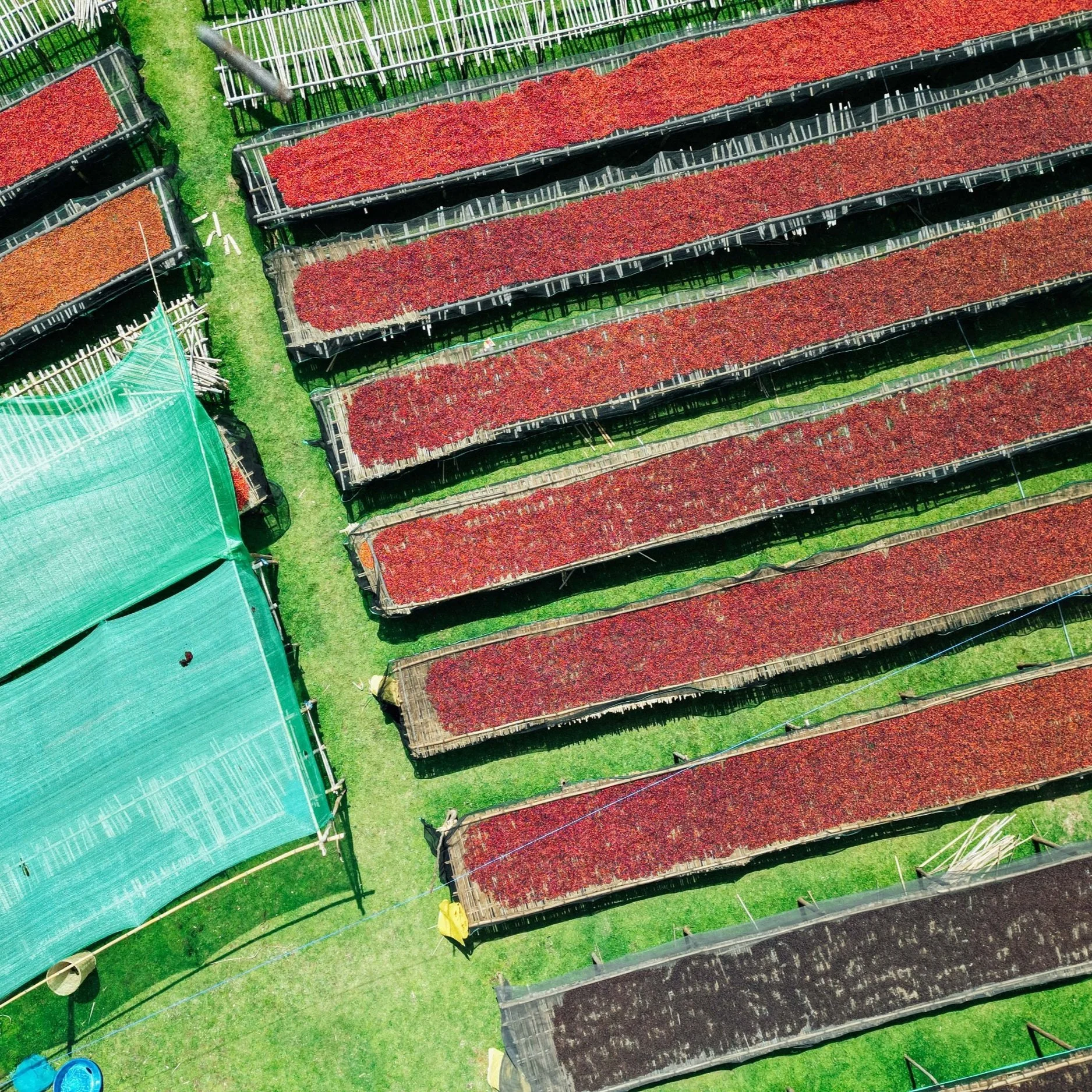 【衣索比亞】2023 產區最新概況