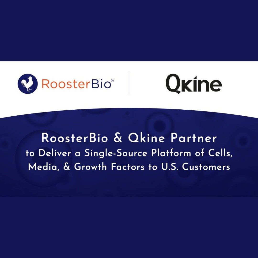 RoosterBio and Qkine Partner to Deliver a Single-Source Platform to U.S. Customers