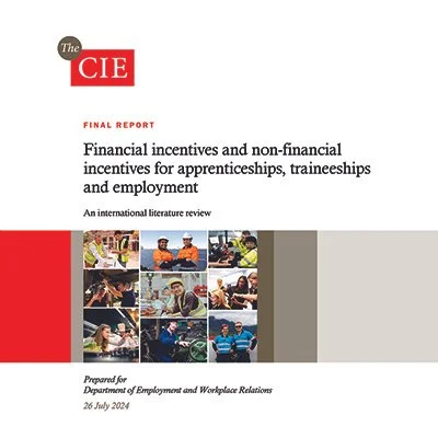 Financial incentives and non-financial incentives for apprenticeships, traineeships and employment