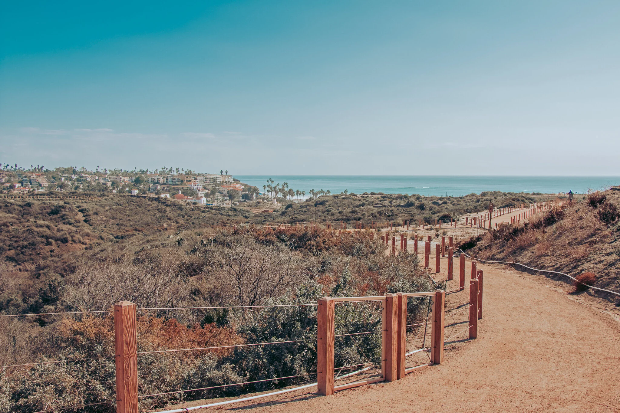 DOG Friendly Spots in San Clemente 1 Guide