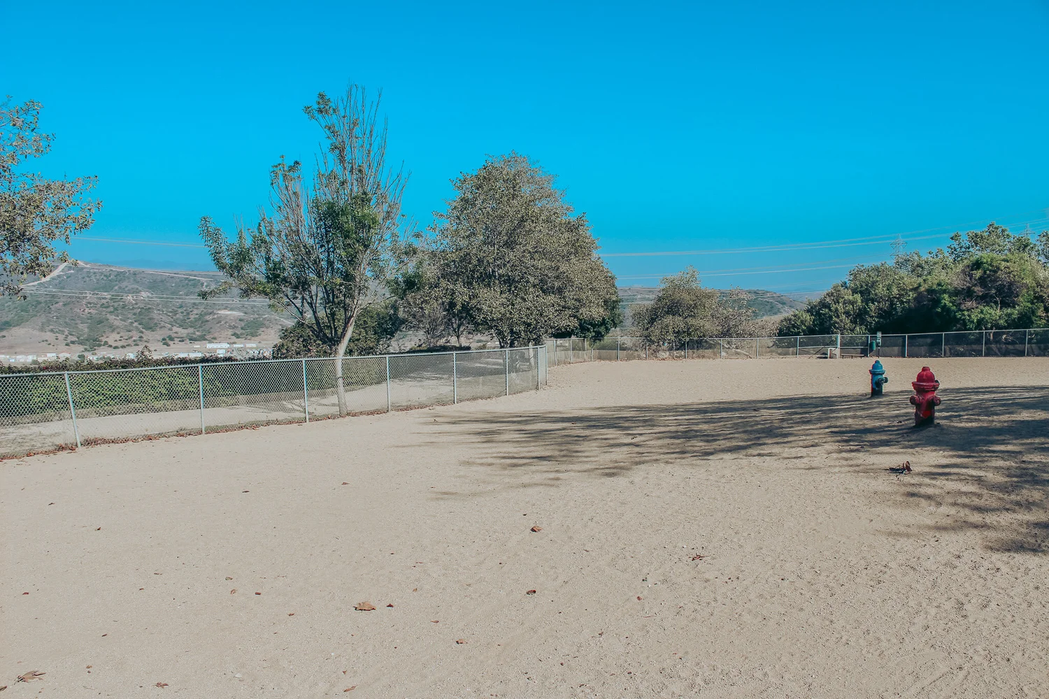 DOG Friendly Spots in San Clemente 1 Guide