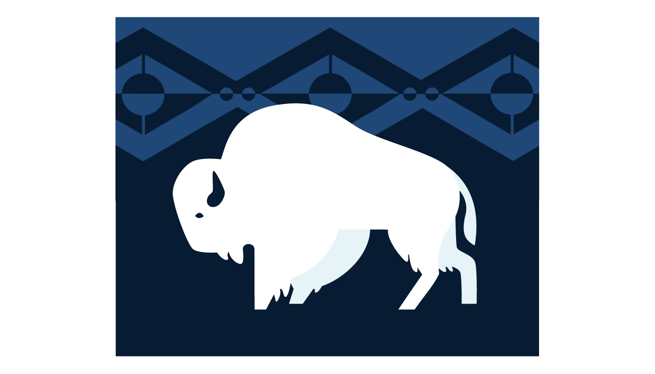 Buffalo Dreams By Iris Running Thunder.png
