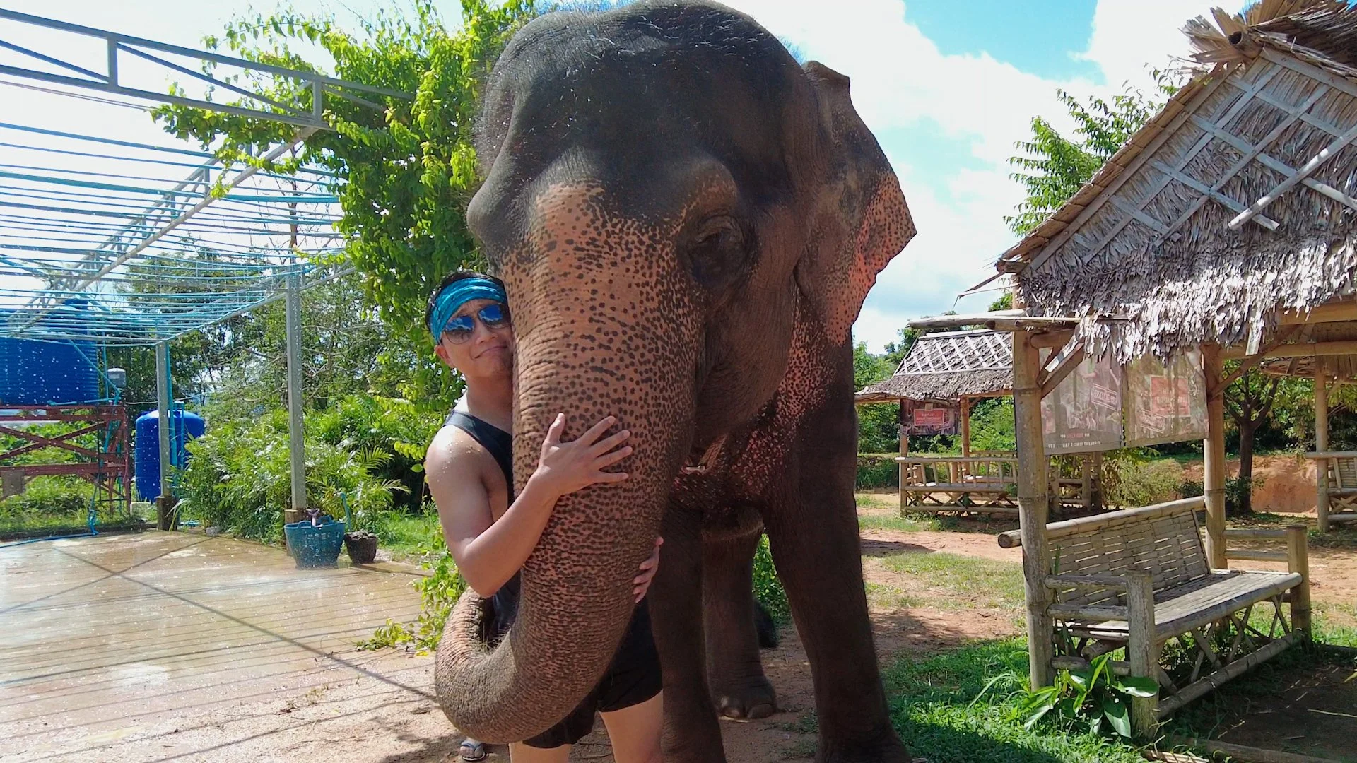 6 Things To Do in Thailand Right Now