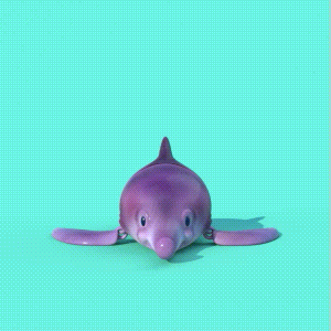 Flexi_dolphin