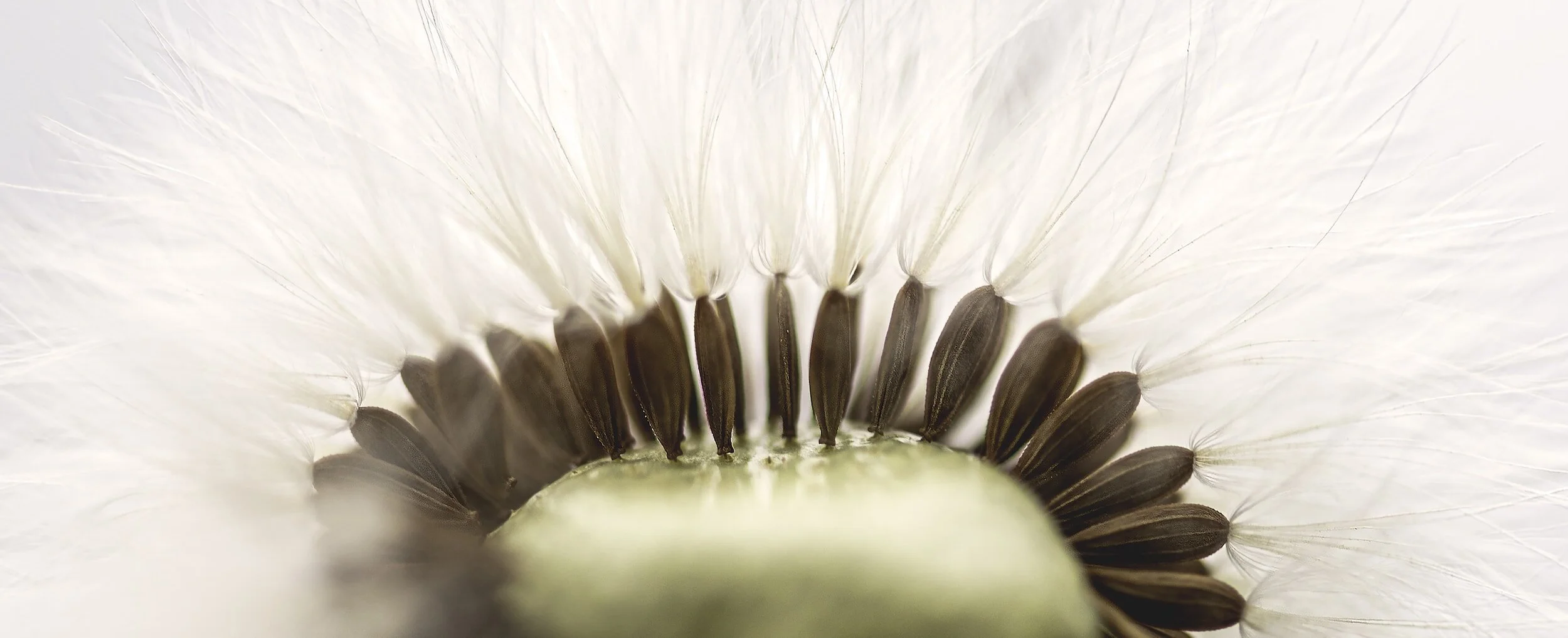 THE INTEGRITY OF SELF-CARE