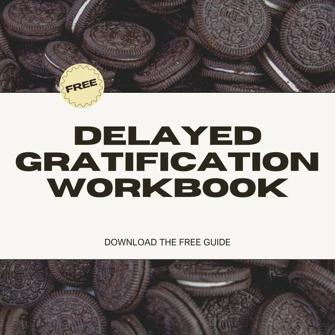 Delayed Gratification Guide & WORKBOOK