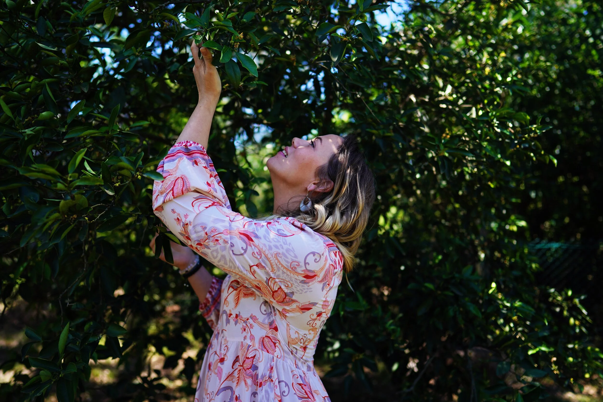 5 Calming Plants in your Backyard