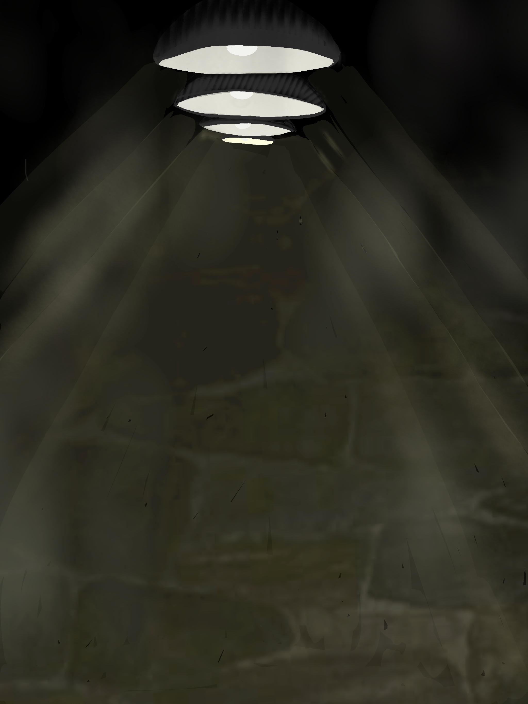 VvhL | UIT DE SCHADUW