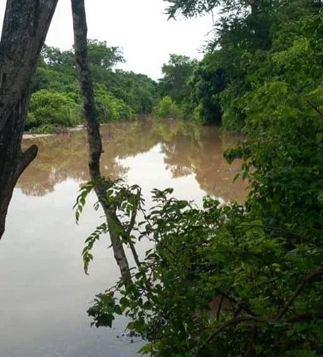 Lusangazi; what most of us know as a sand river normally, now flowing with all the recent rains. &bull;
&bull;
&bull;
#kisampaconservancy #tanzania #conservation #wamiriver #sandriver #protectingwildlife #africanwildlife #wildlifeconservation #conser