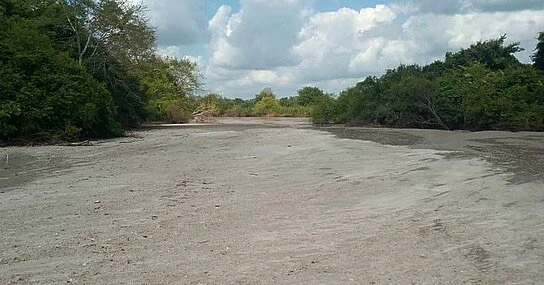 Kisampa has change significantly after the recent heavy rains, especially areas around the permanent Wami river, and seasonal sand river Lusangazi. Lusangazi has been wash clean and left with beautiful white sand. &bull;
&bull;
&bull;
#kisampaconserv