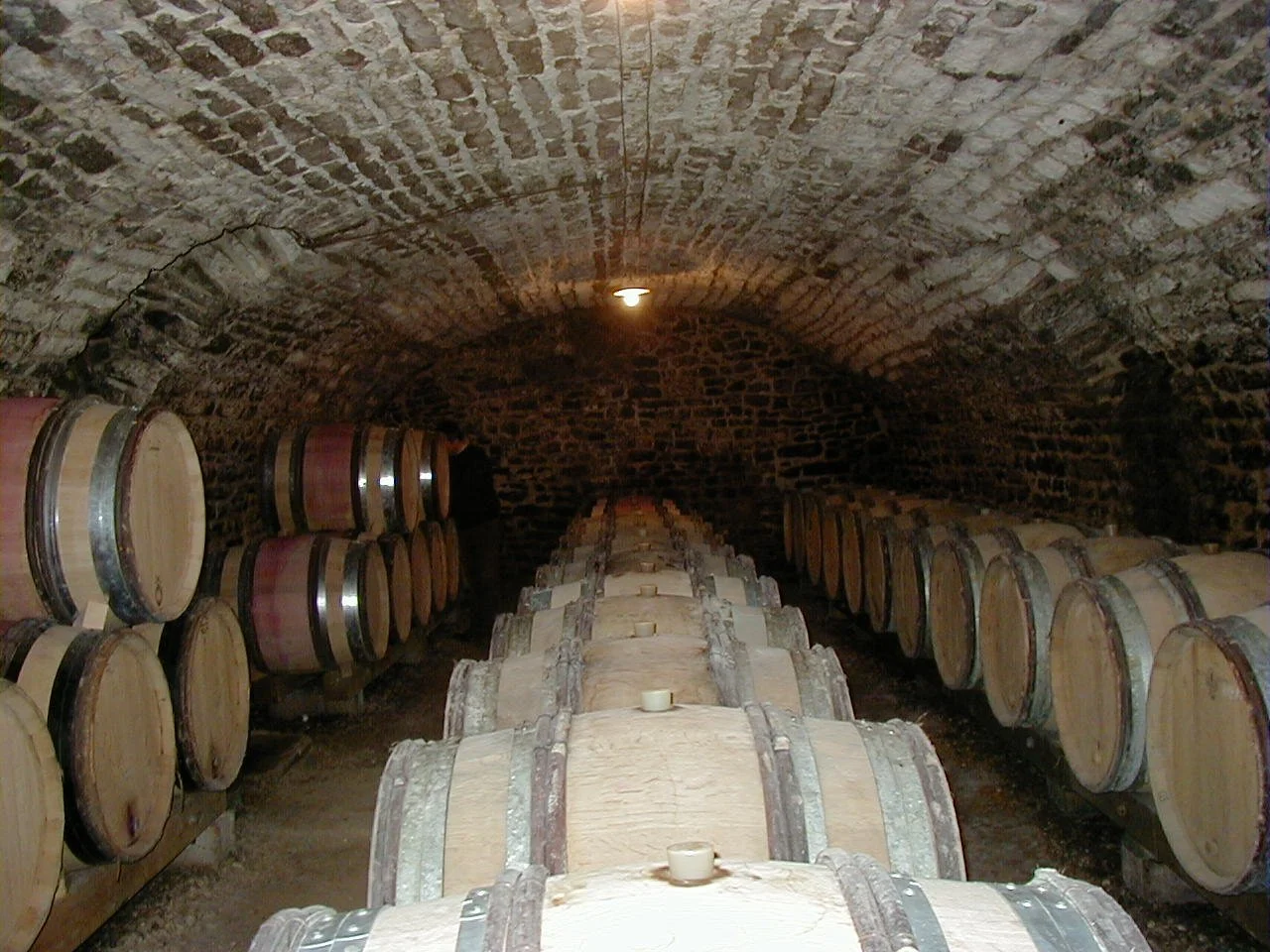 La cave du Domaine Jaeger-Defaix.jpeg