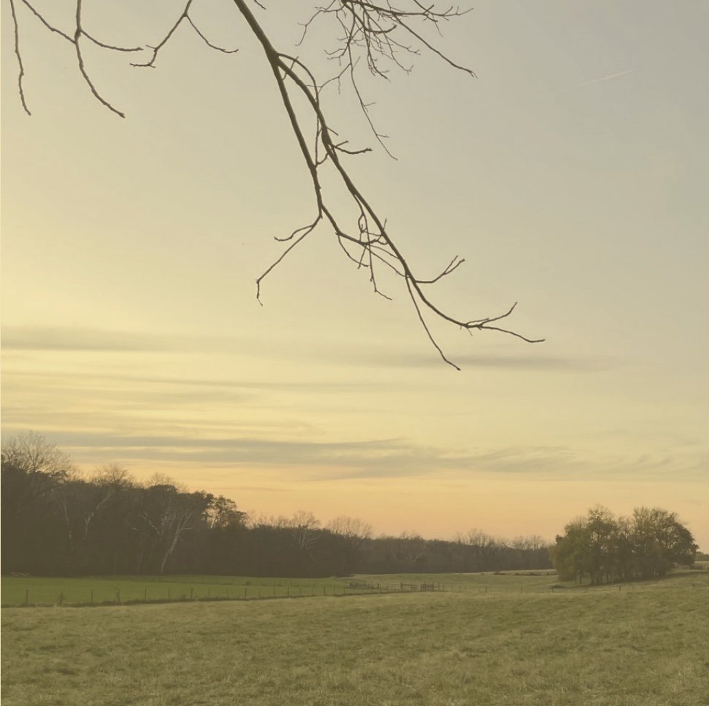 Reclaiming Beauty in a Digital Age