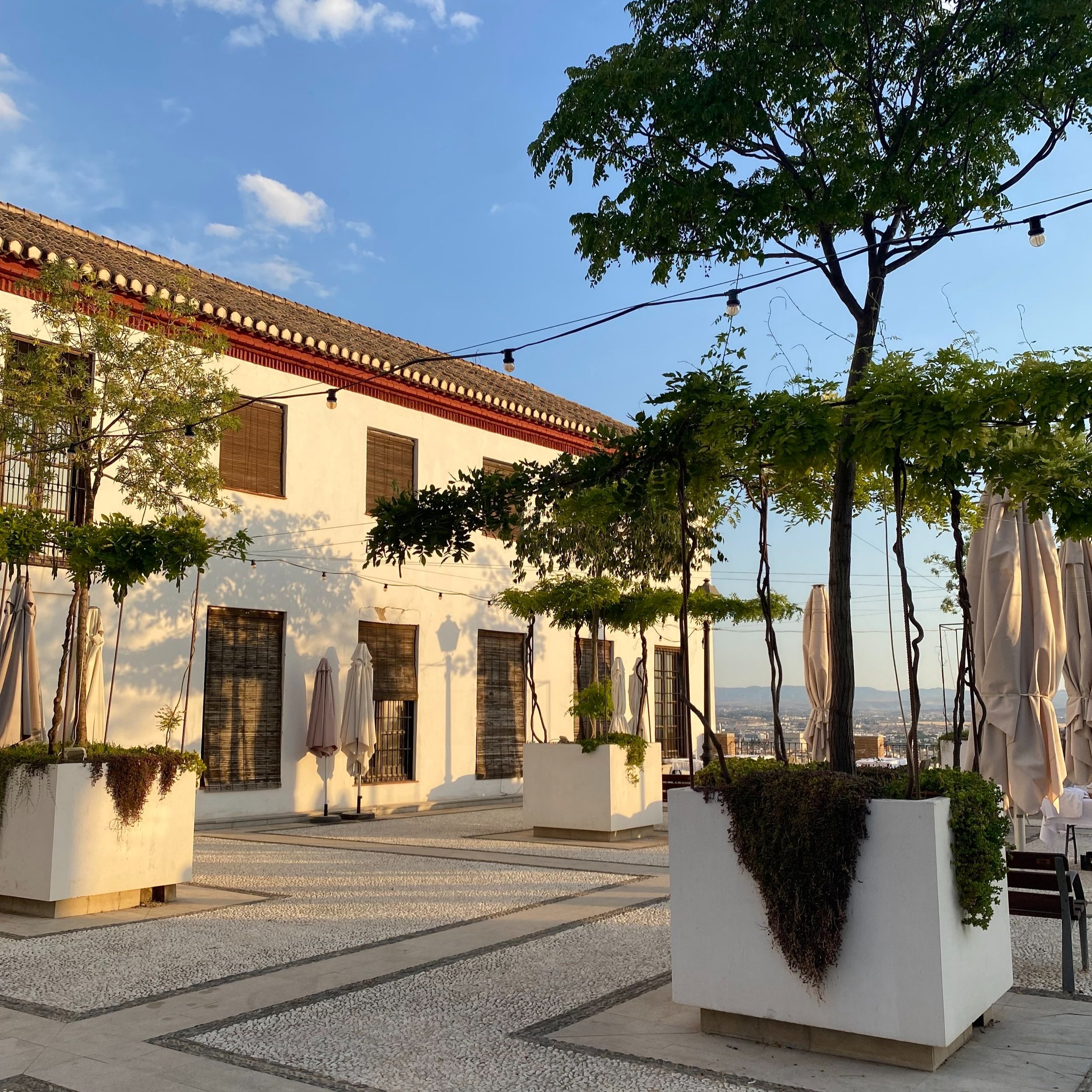 Greener Grass: What I Learned About Discernment from My Summer Abroad&nbsp;