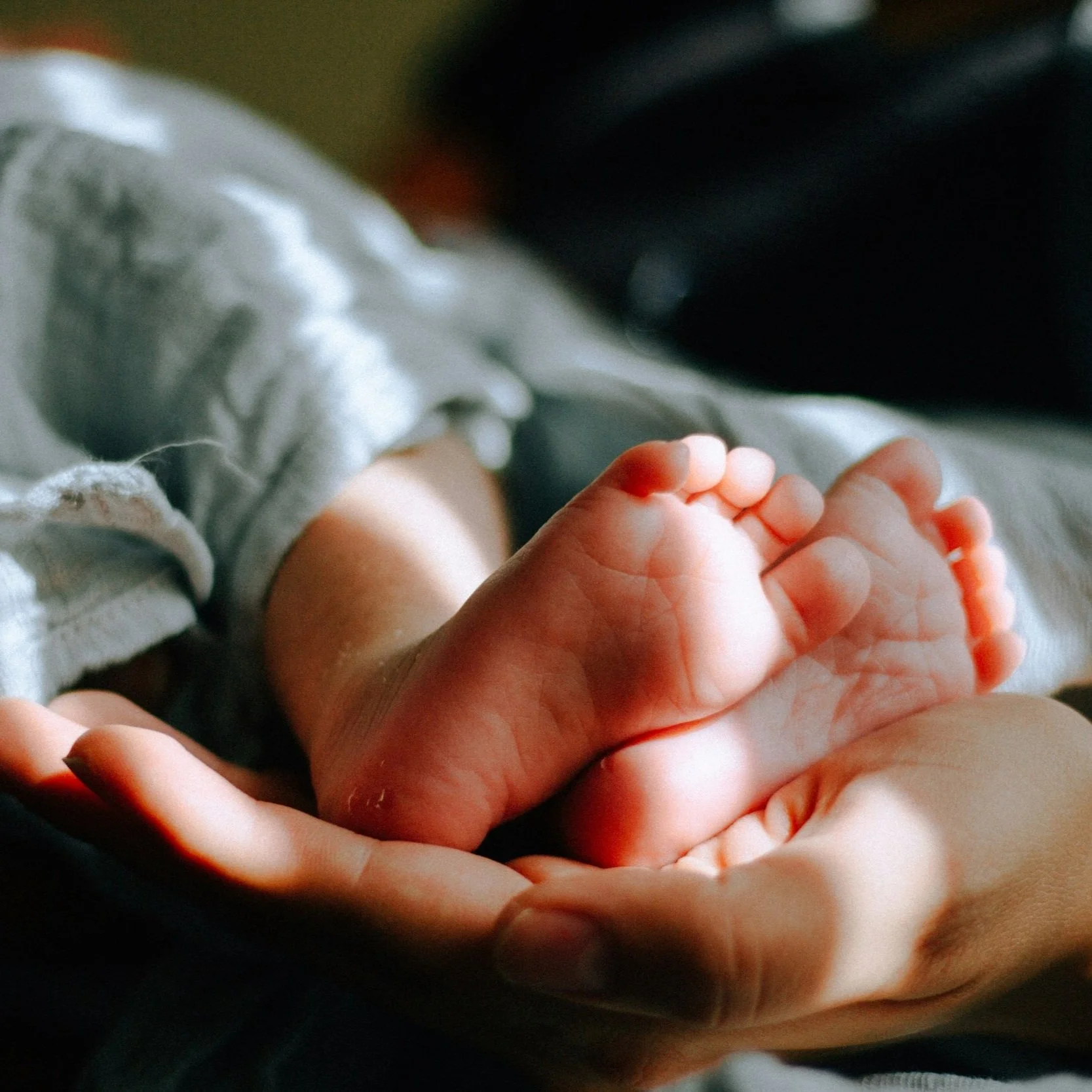 Misguided Good: A Mother’s Perspective on How to Discern the Best Among the Good