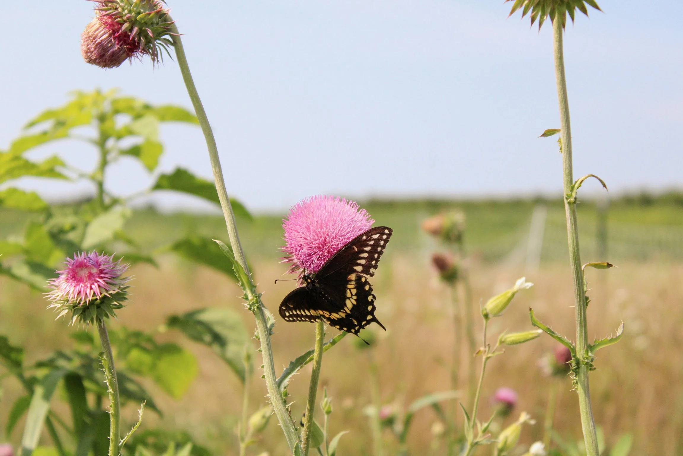 Receptive to Renewal:The Importance of Radical Honesty and Open Hands&nbsp;