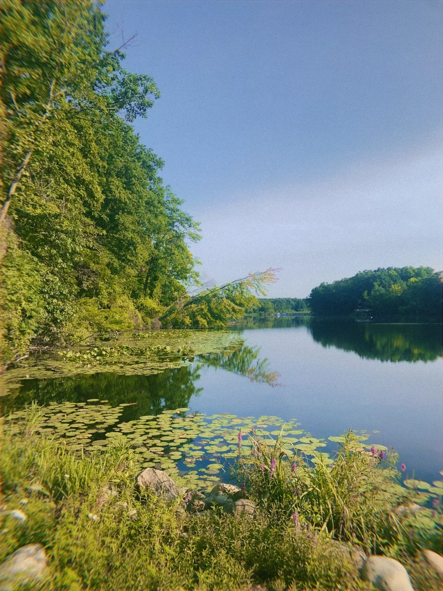 Spring Refresh: Mental/Spiritual Spring Cleaning