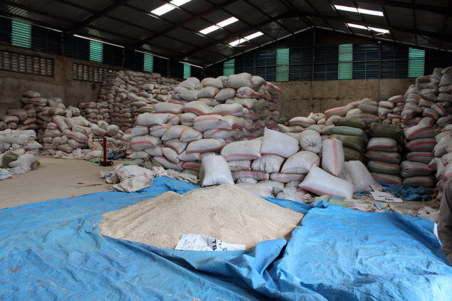  Risprodusentene "våre" kan lagre risen i påvente av at prisene skal øke. I mellomtiden kan de ta ut et forskudd på betalingen om de har behov for det, dette finansieres via et såkalt Warehous Reciept System. Her fra et lager tilhørende Rafael Group,
