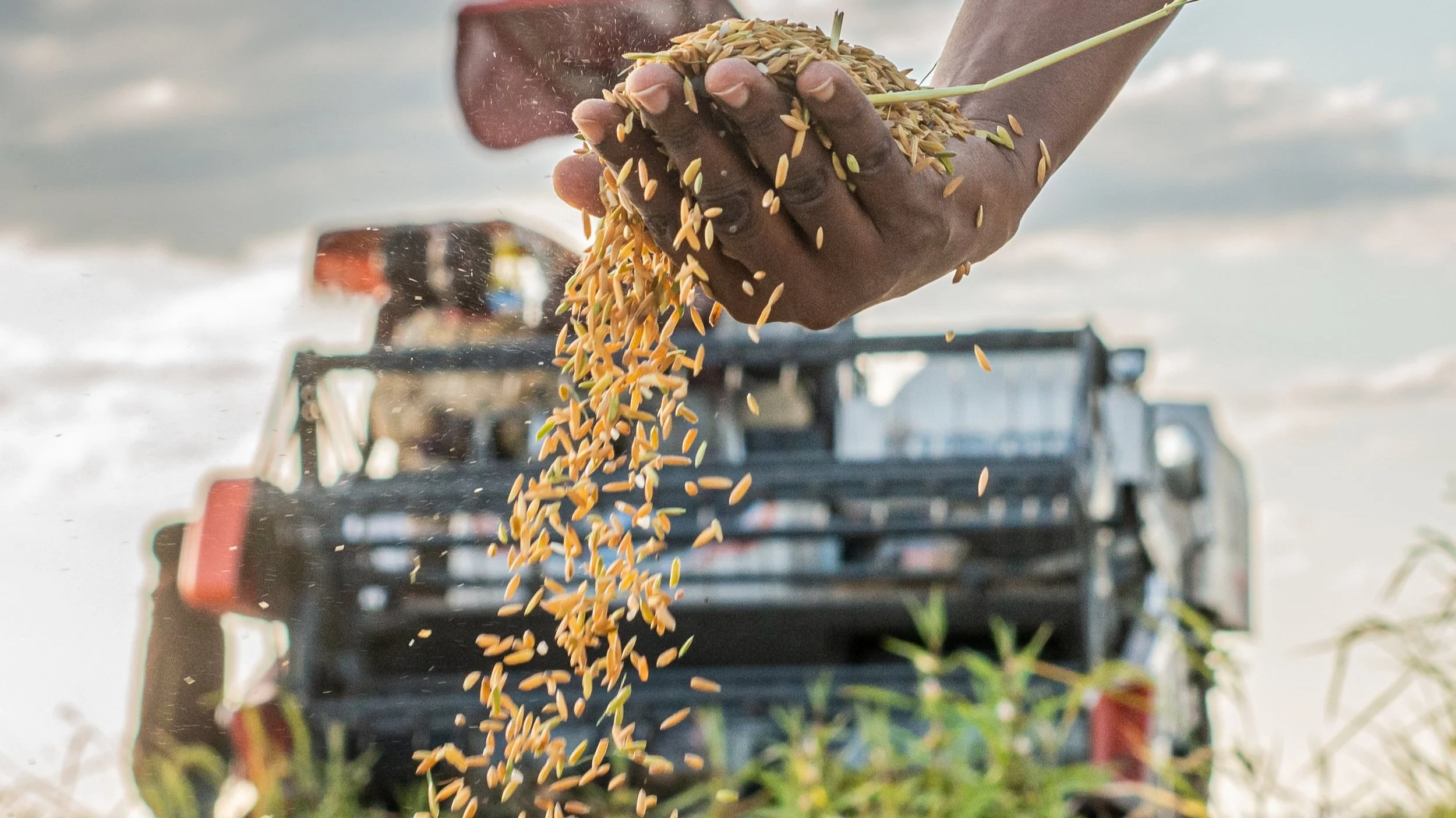 Et systematisk grønt skifte