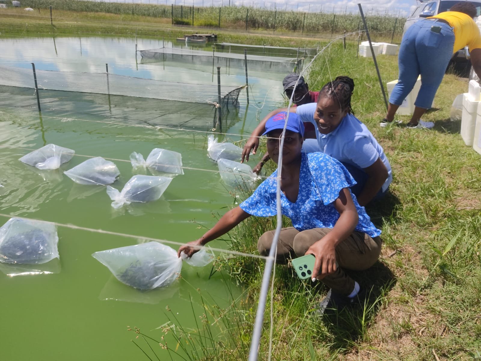Flyvende fiskeeventyr!