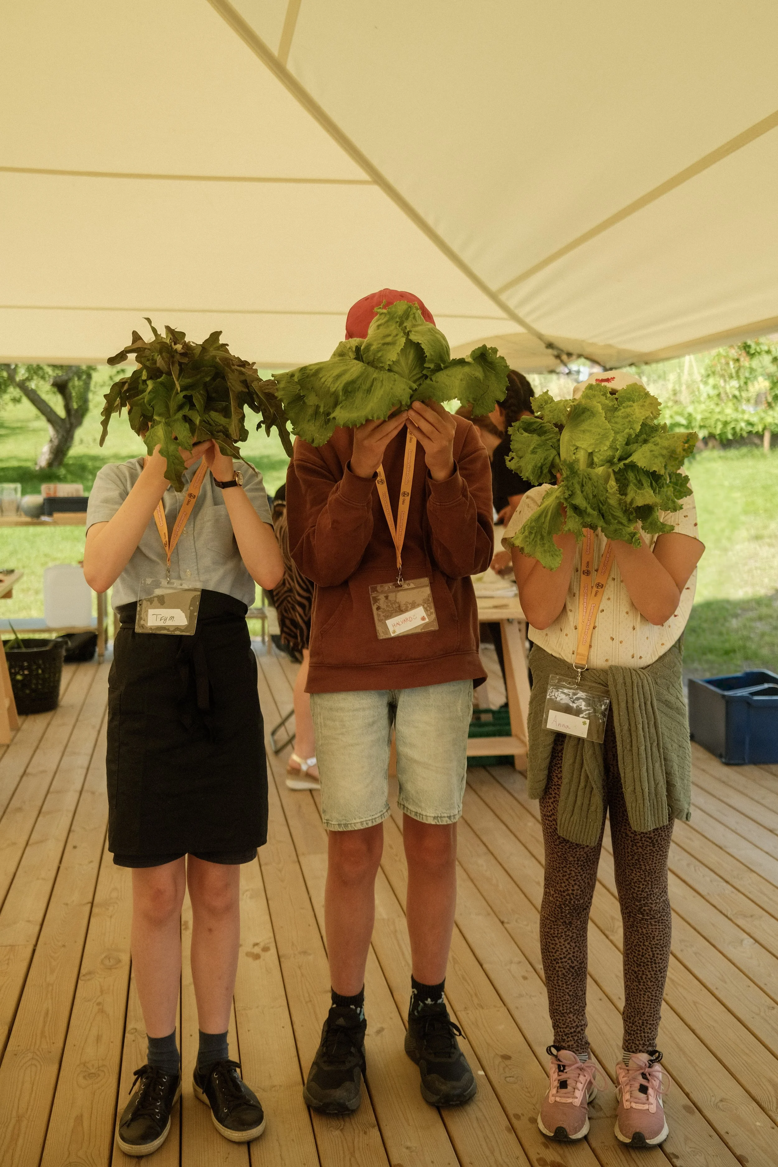 Norske frø til unge ganer_barn med salat.jpg