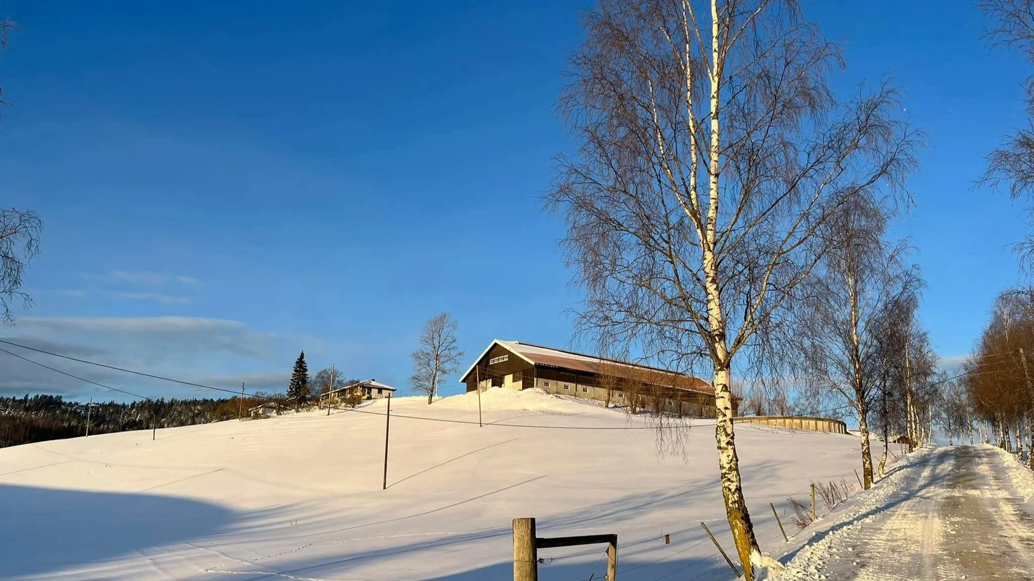 Utvikler nye muligheter på gården