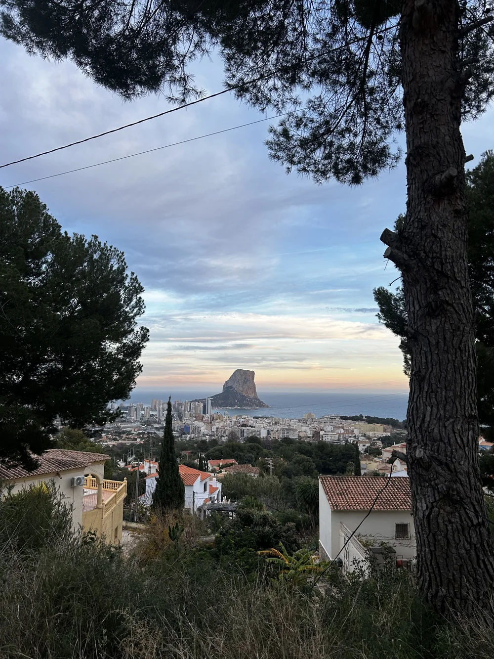 85B6BA60-A15C-4232-8861-55E55EC6B696 (1).jpeg