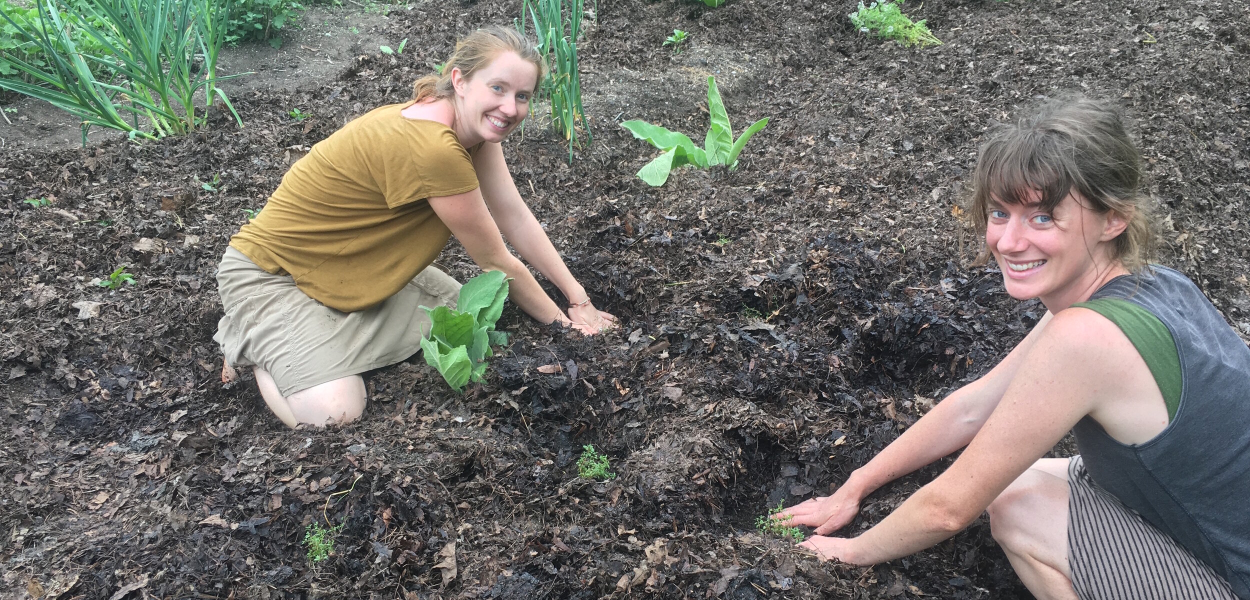  hands-on herbalism education  