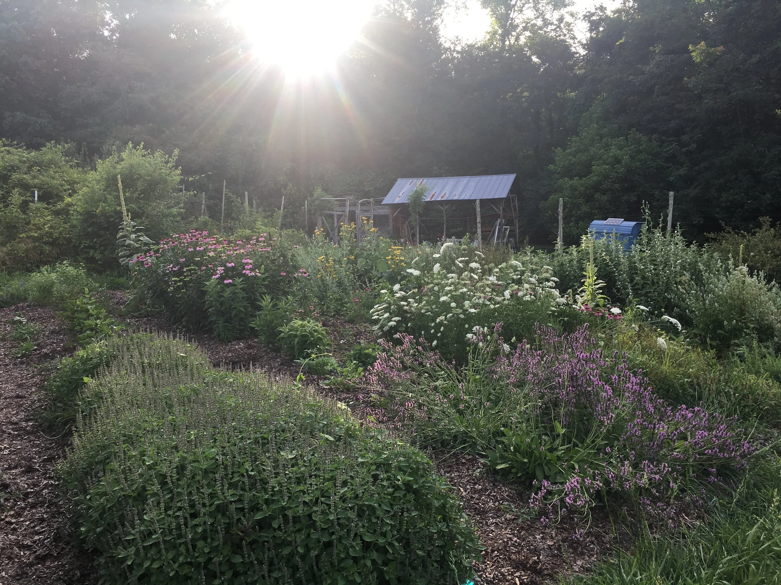 RiverSong Farm in Saxapahaw, NC — Green Heart Healing Arts