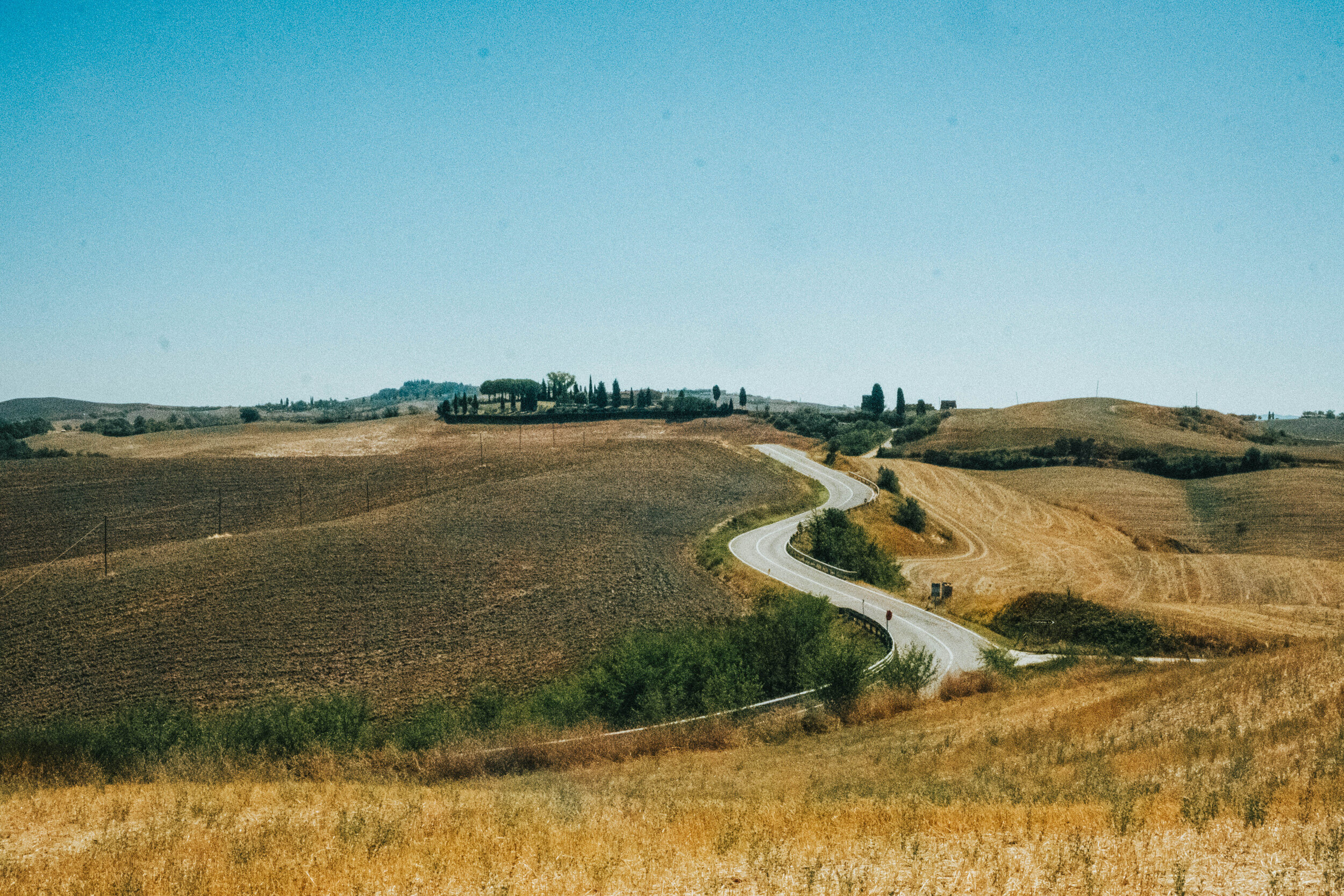 caroTOSC-2.jpg