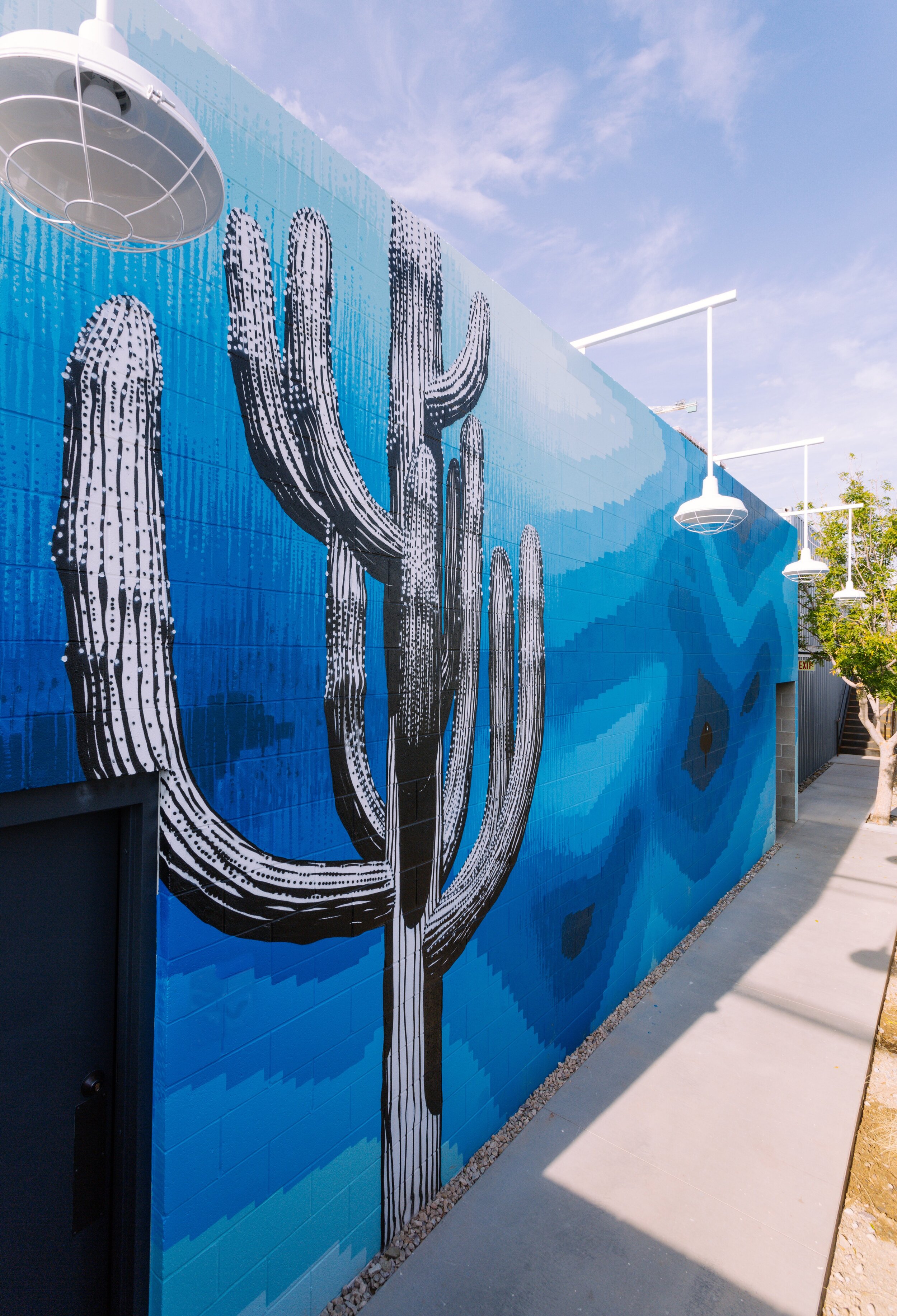 4. Churchill Phx Saguaro Andy Brown.jpeg