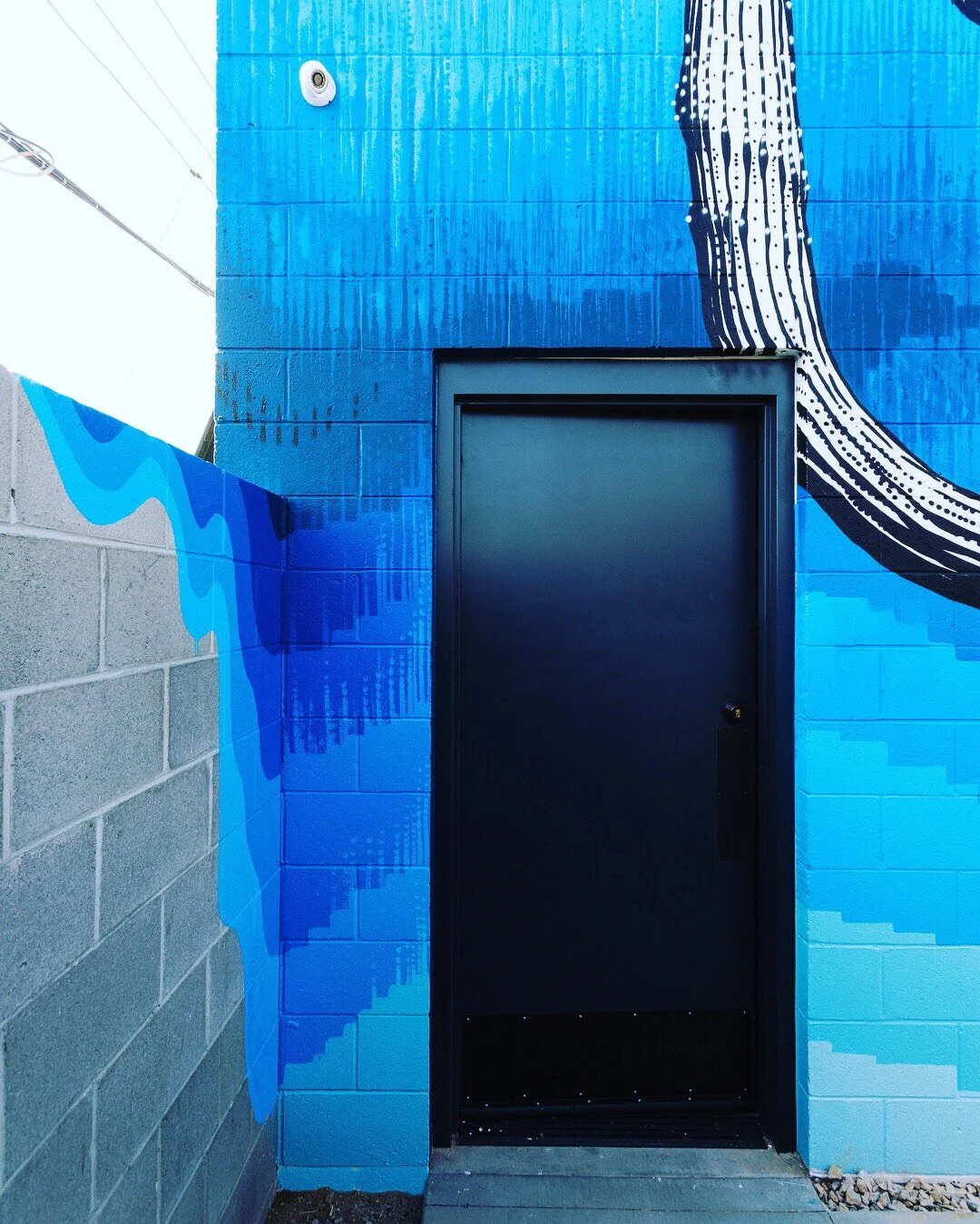 Wow, look at all of these fun facts. isn't it really neat how you can type all of this stuff and this is what it will look like? 