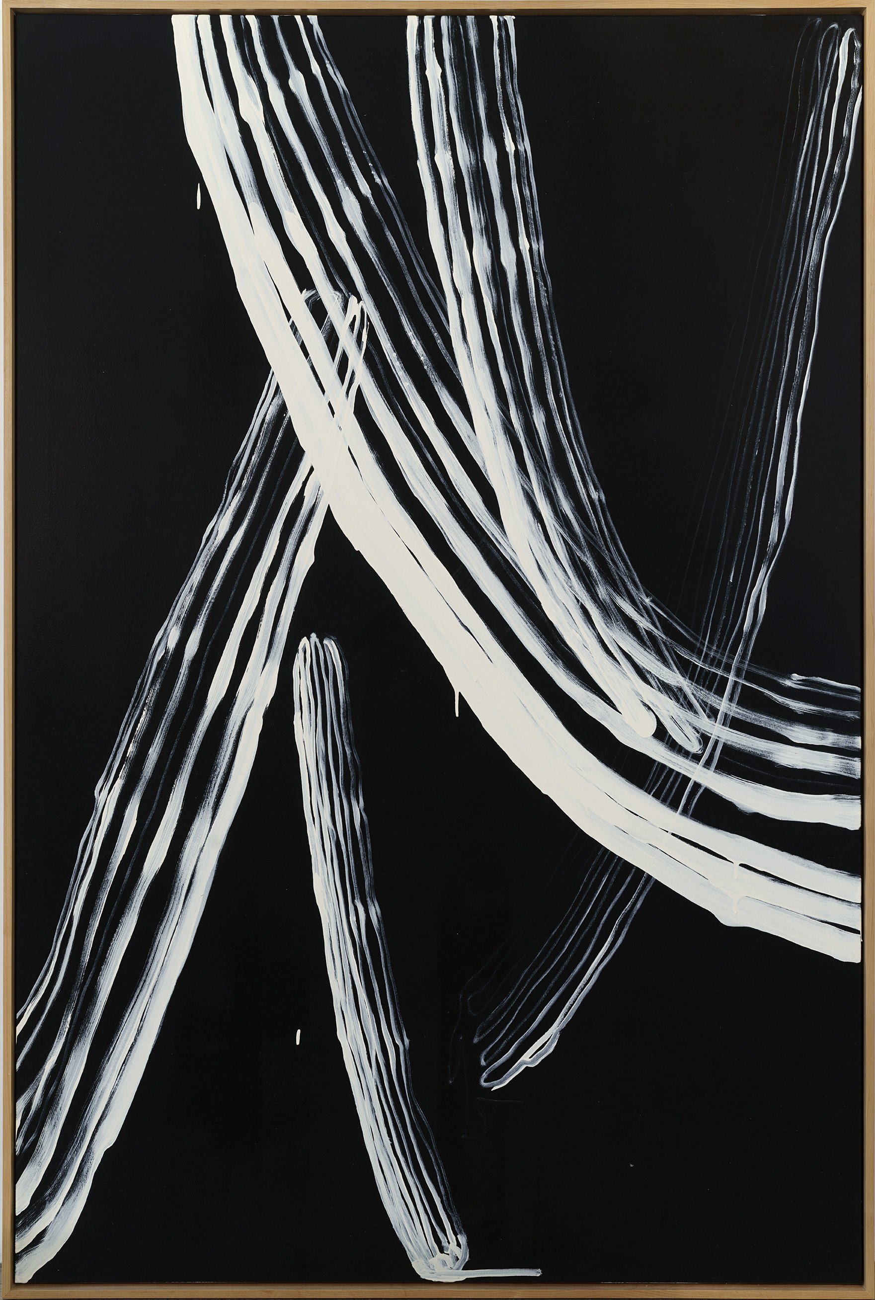 %22Saguaro Sketch%22 web.jpg