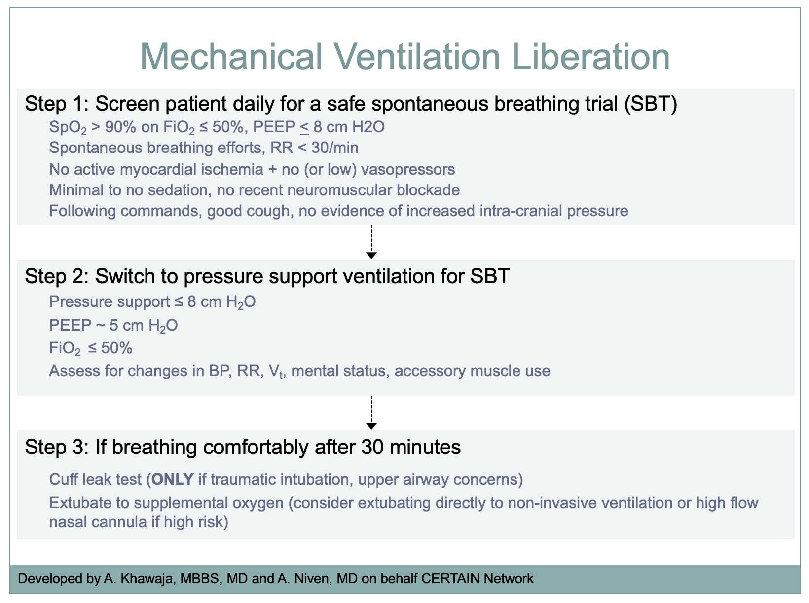 Mechanical Ventilation Liberation - English.png