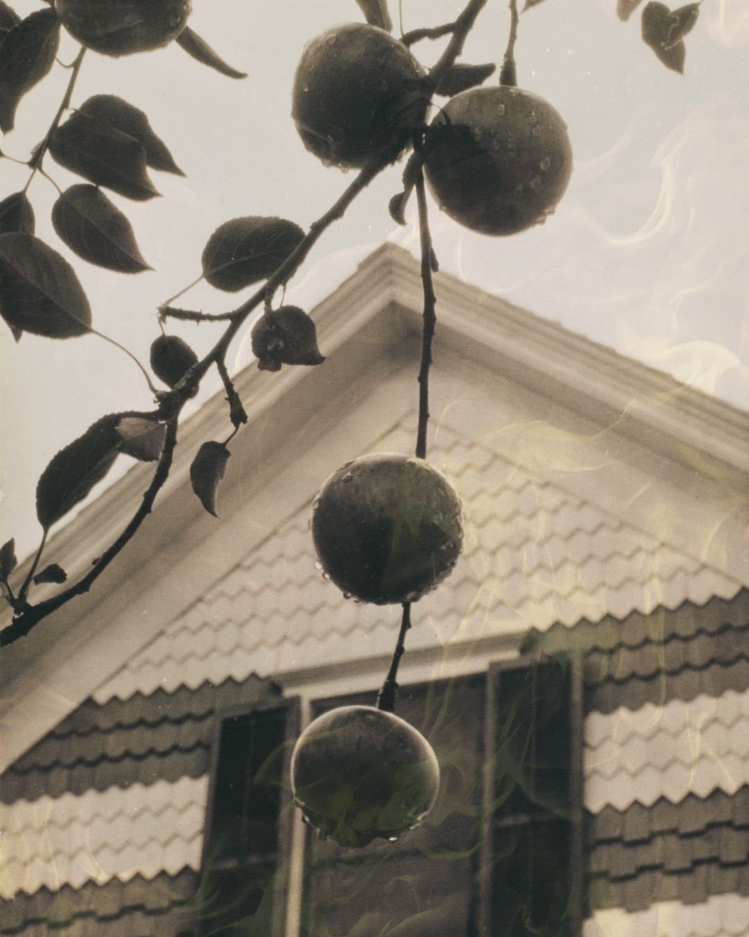 East of Eden Reading Group