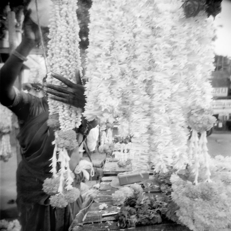 Memories of India – Hand in flowers, 1999 - Archival digital print, 5 x 5”
