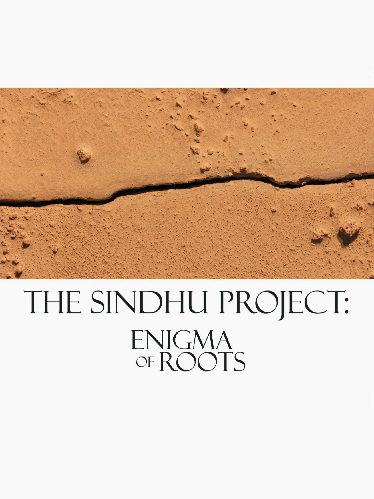 THE SINDHU PROJECT