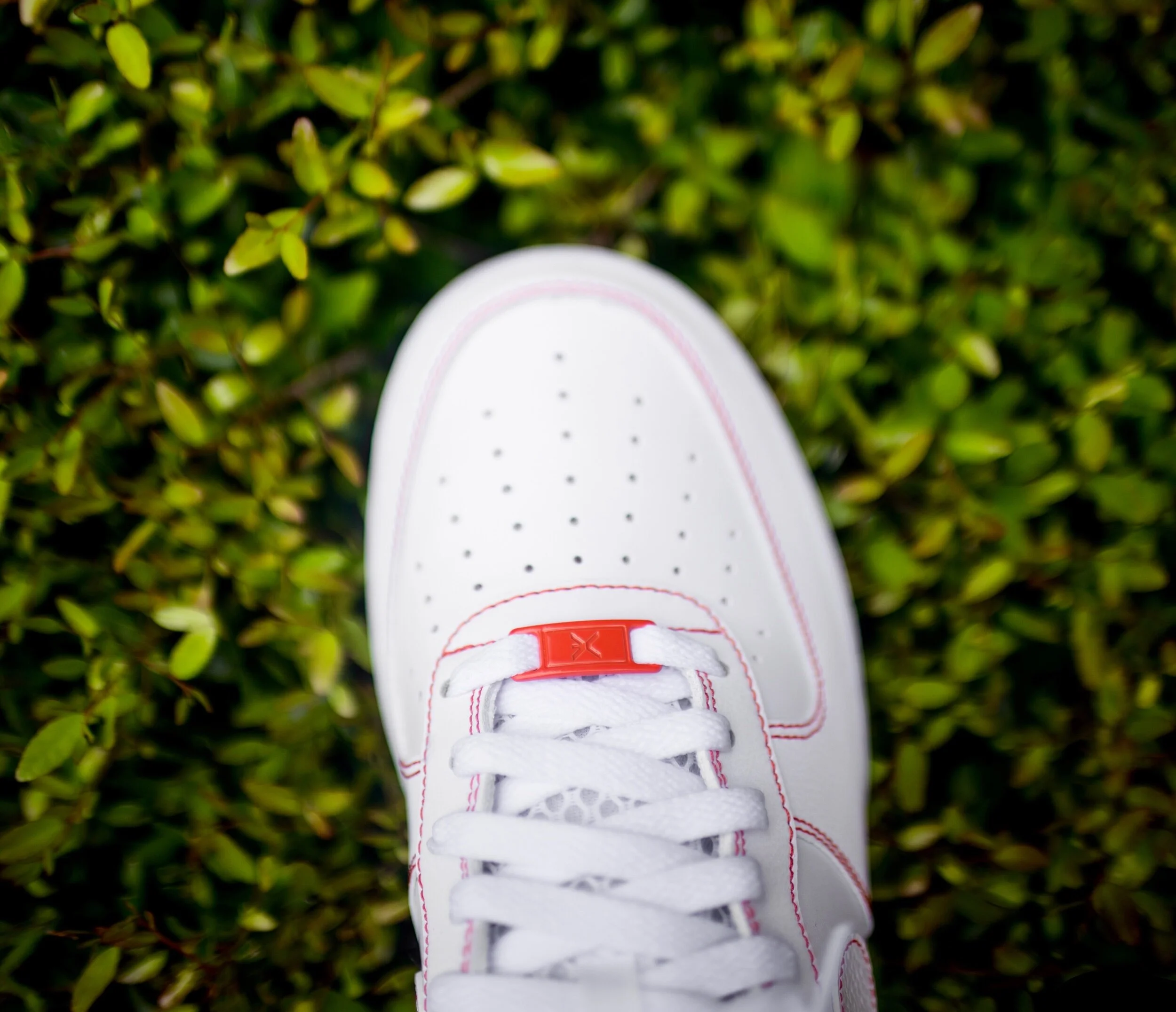 B61F3548-454A-4169-8FCD-0DED7F36A6AF