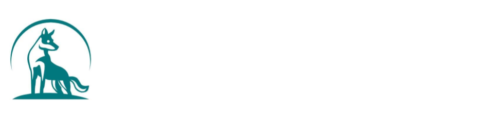 Canine Initiative Training