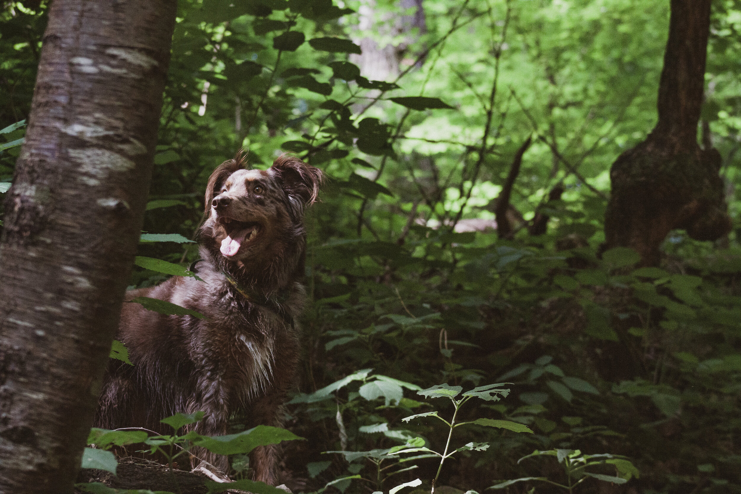 Nature in your Neighborhood
