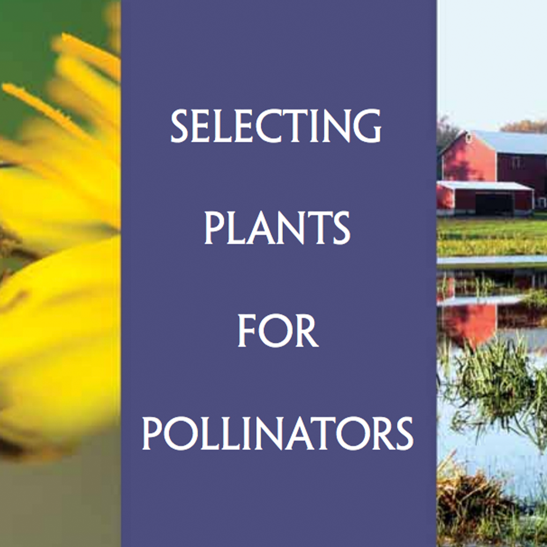 Selecting Plants for Pollinators