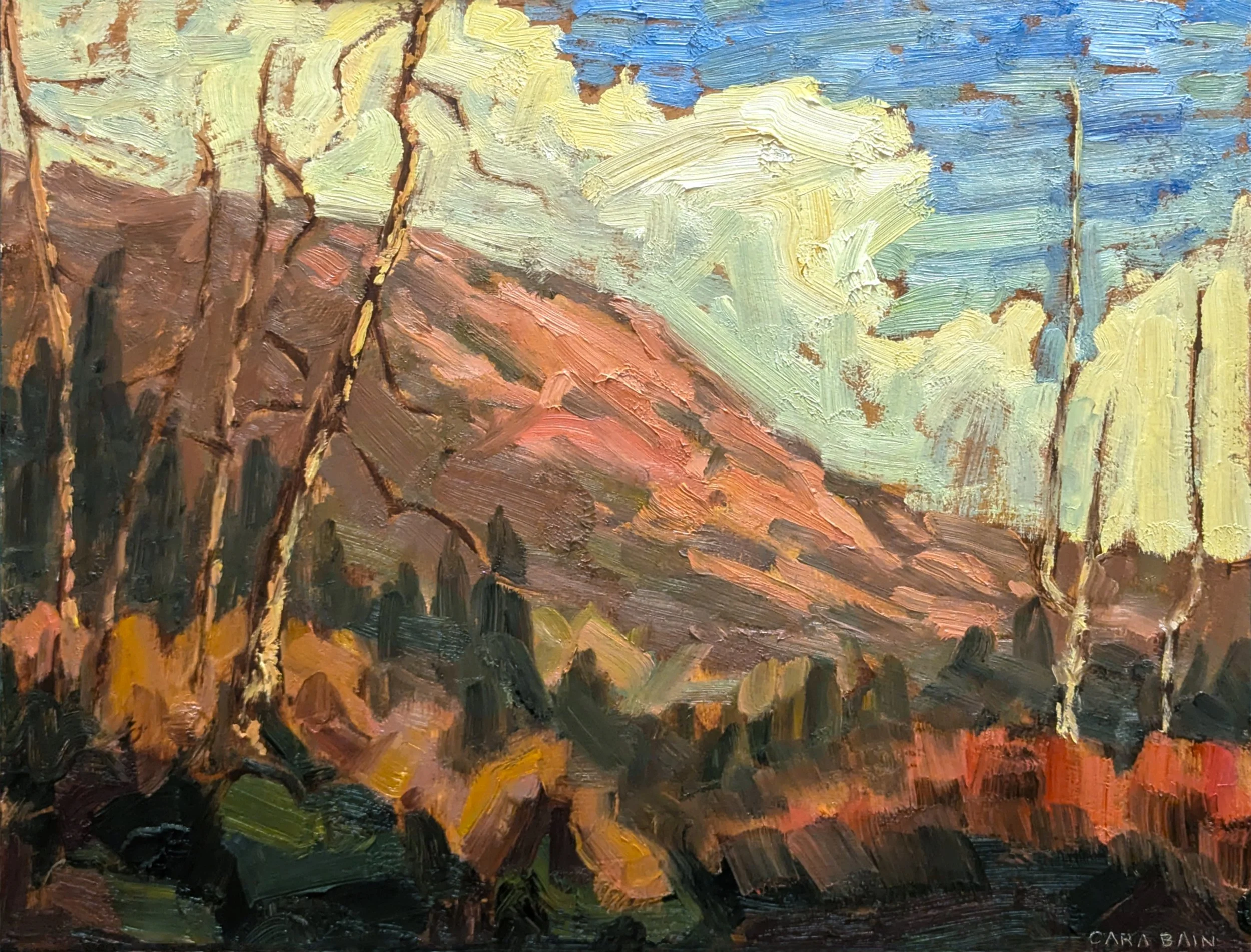   Nanoose Bay Sunset  – 11” x 14” – Oil on Panel – Available 